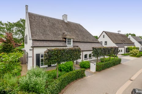 Ansemhoek thumbnail
