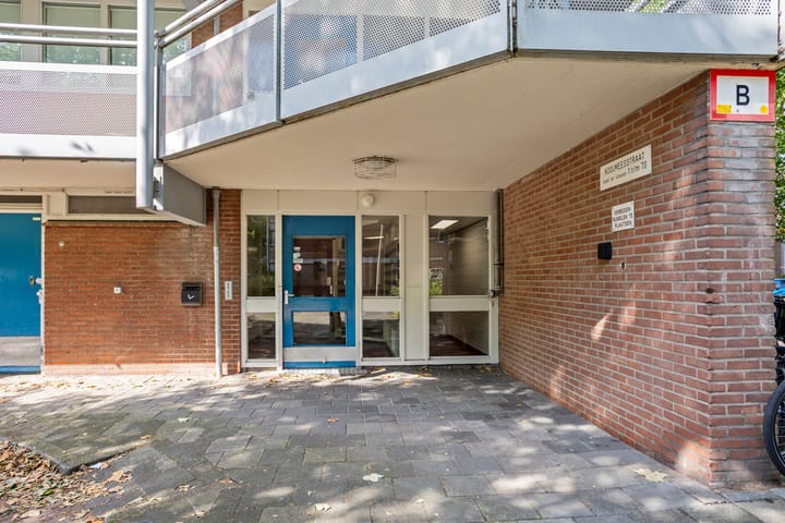Foto 5 van Koolmeesstraat 3