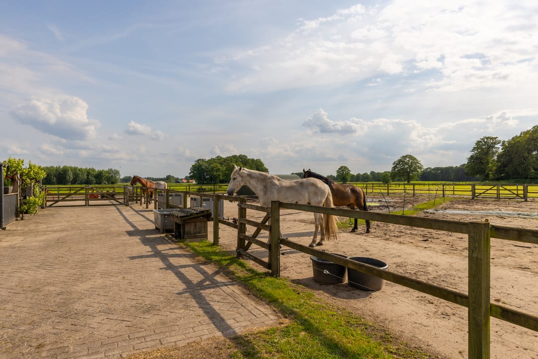 Photo 52 of Kasteelweg 12