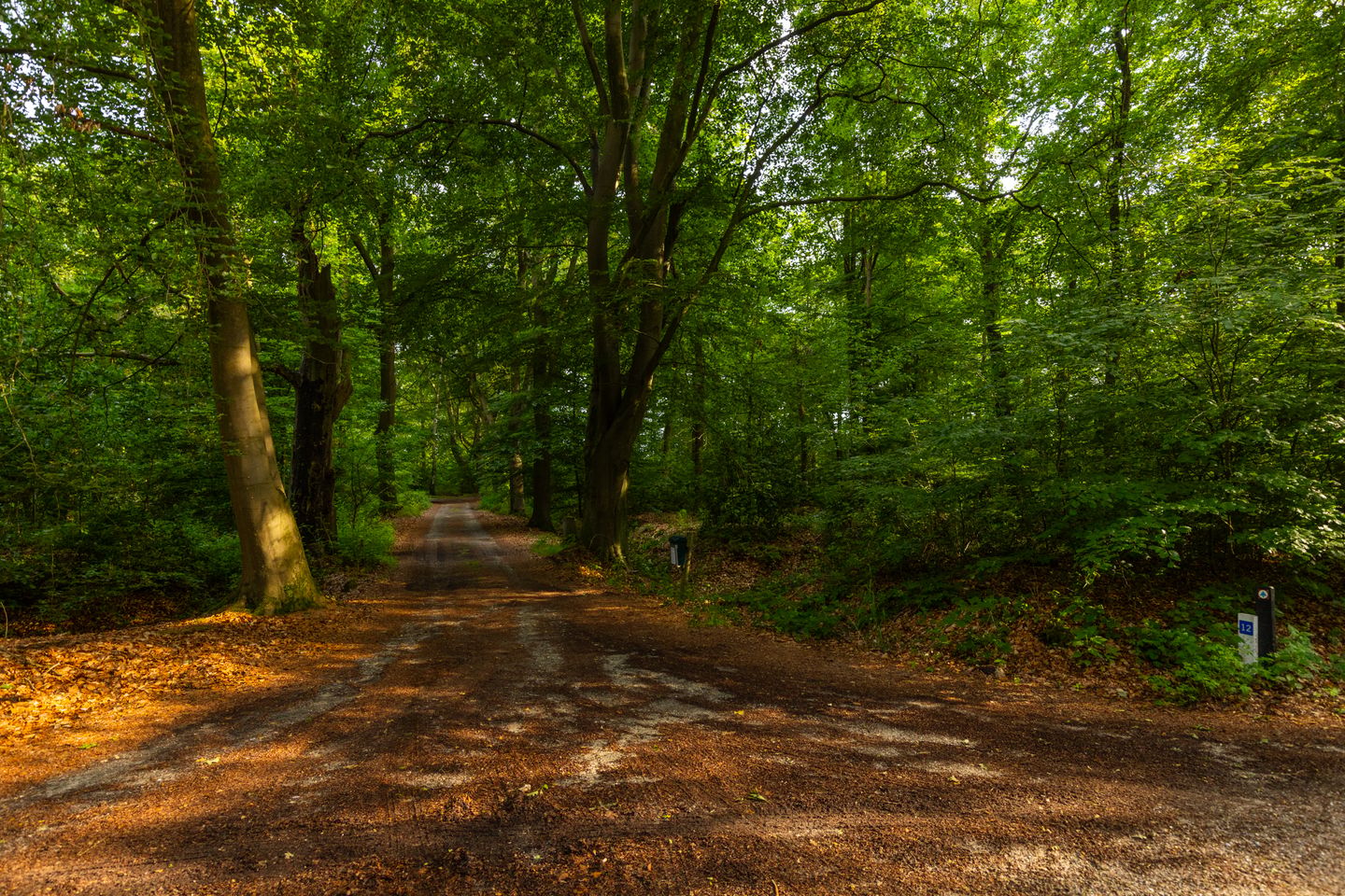 Photo 85 of Kasteelweg 12