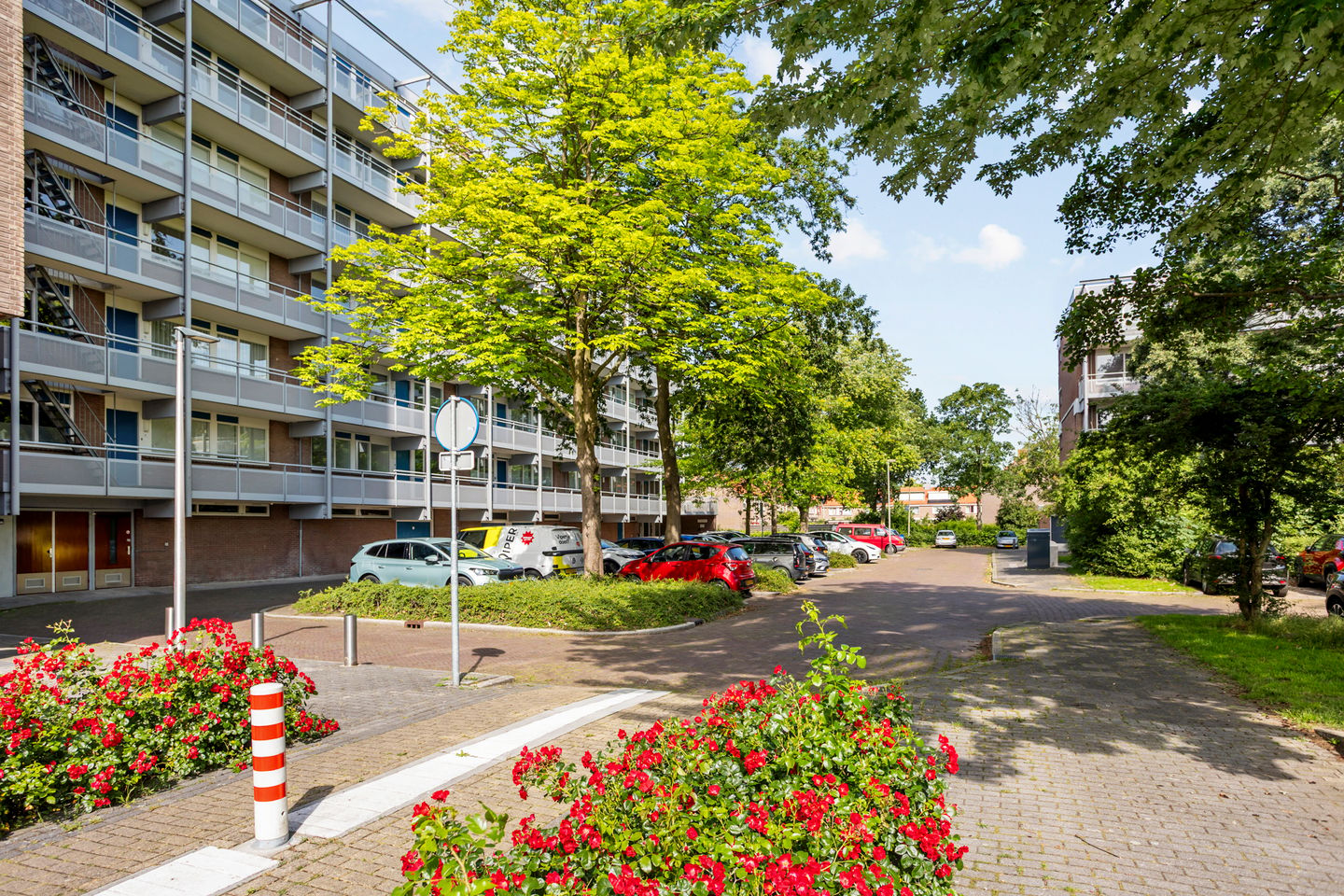 Foto 40 van Koolmeesstraat 3