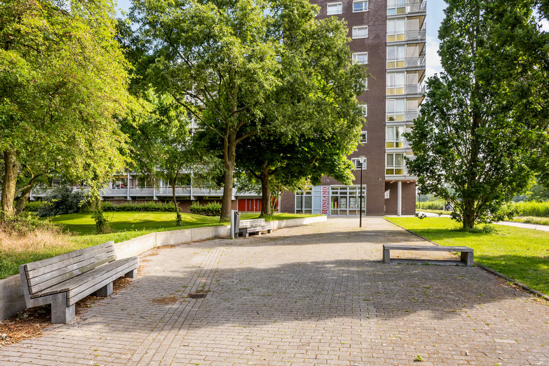 Foto 41 van Koolmeesstraat 3