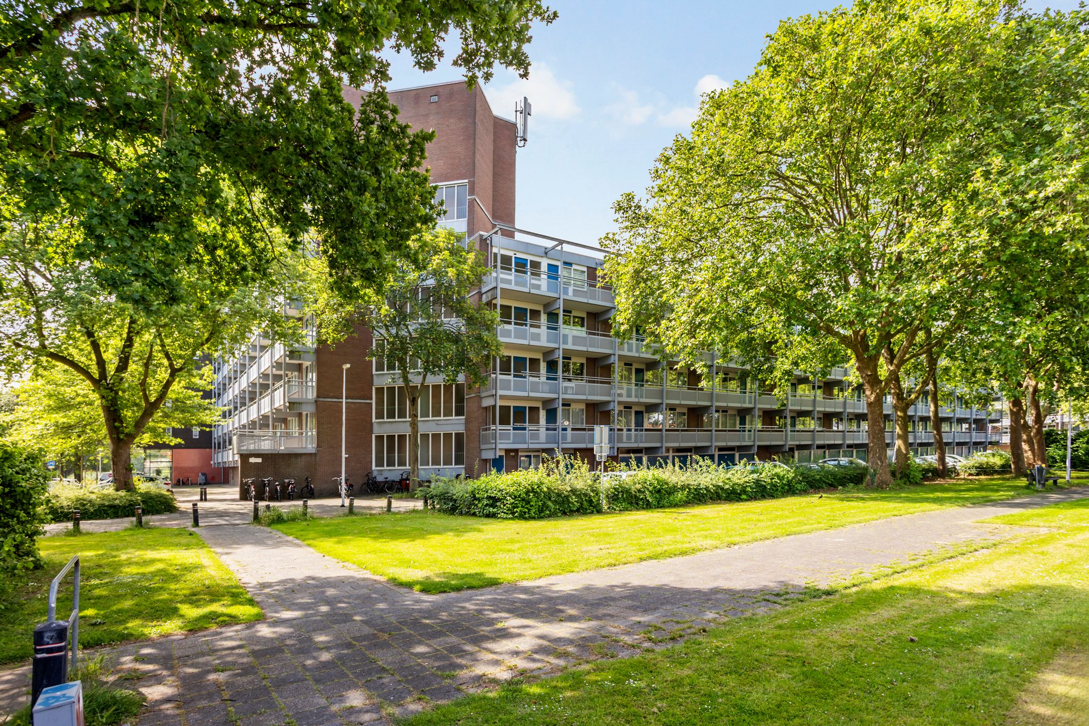 Foto 42 van Koolmeesstraat 3