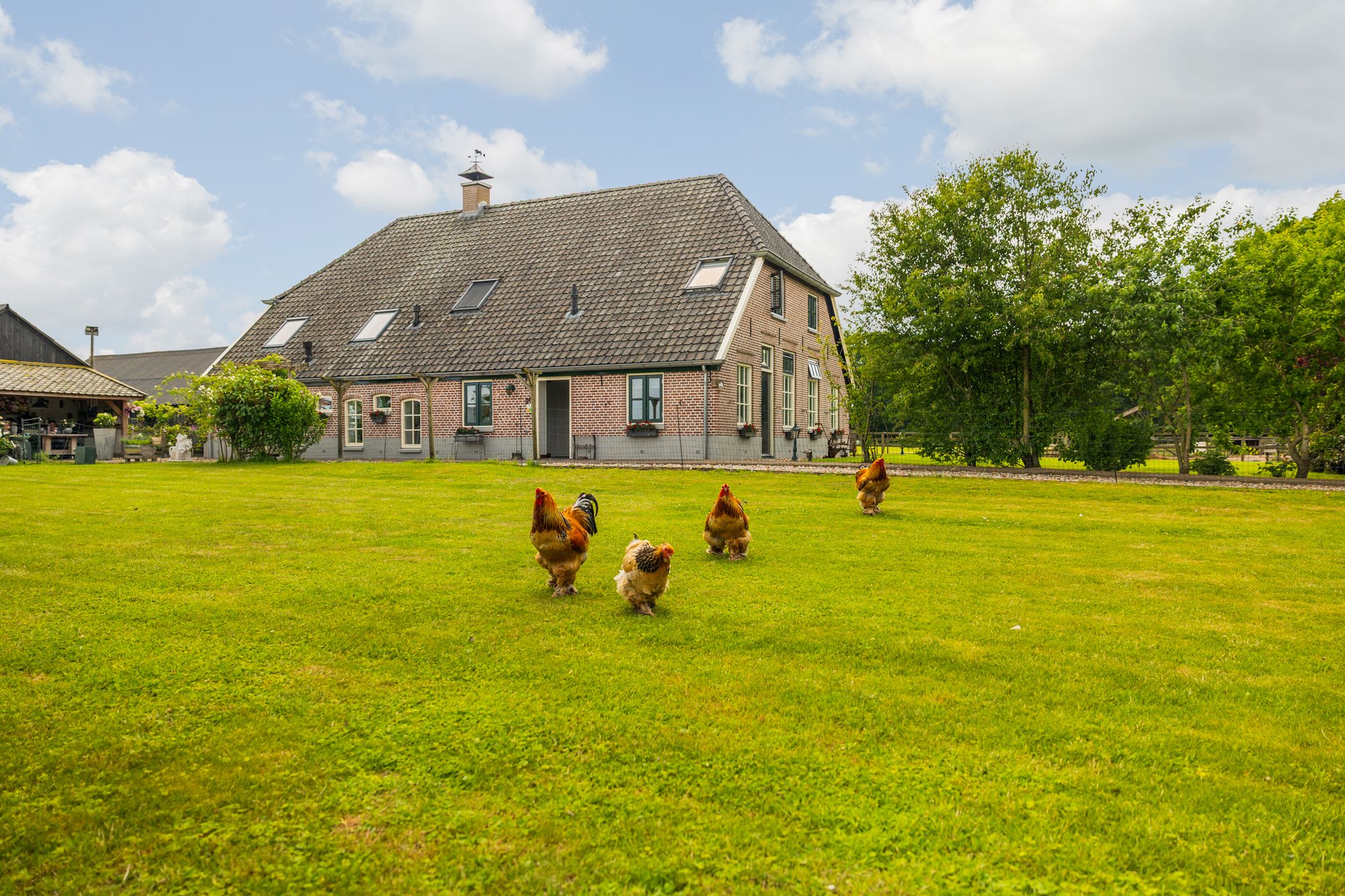 Photo 81 of Kasteelweg 12