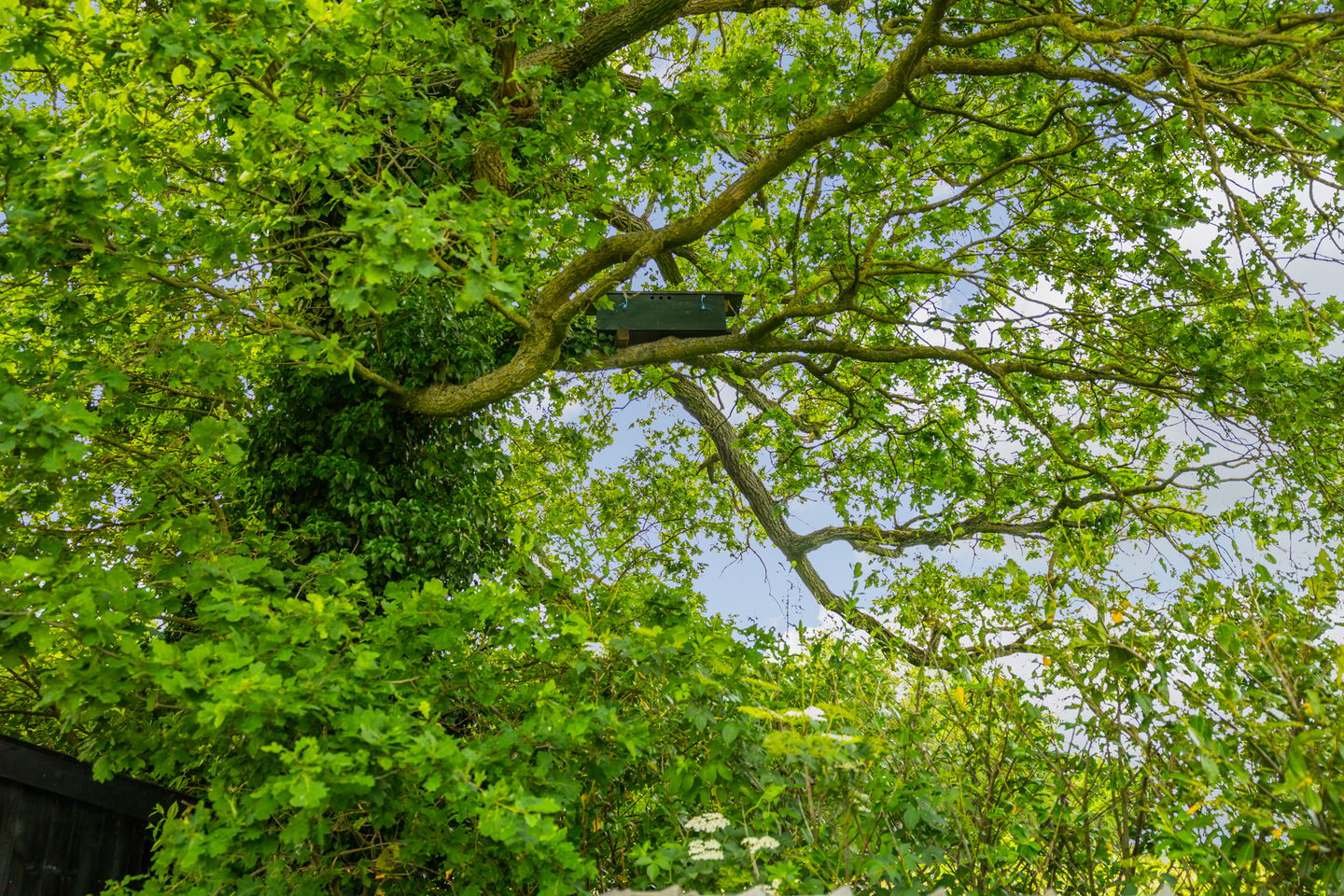 Photo 89 of Kasteelweg 12