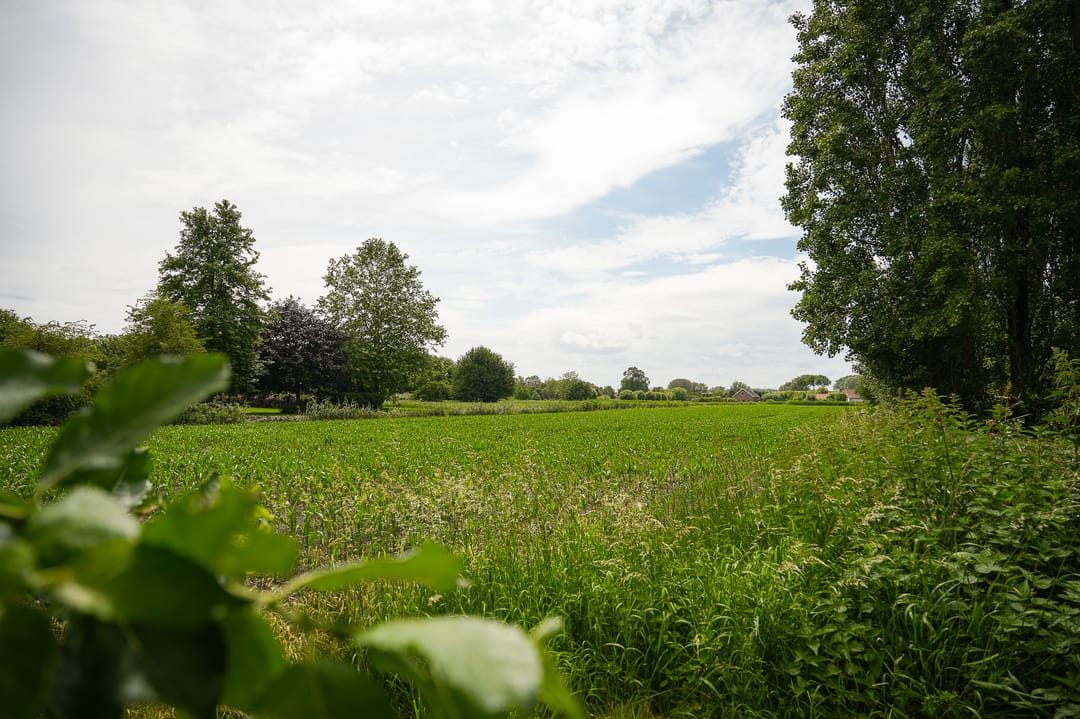 Photo 62 of Dorpsstraat 18