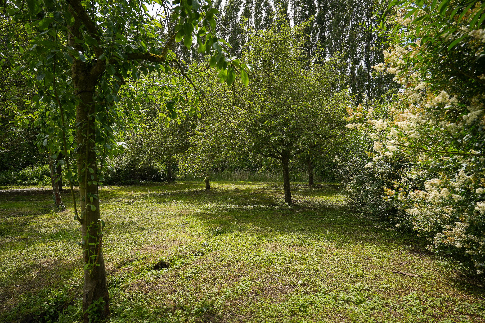Photo 75 of Dorpsstraat 18