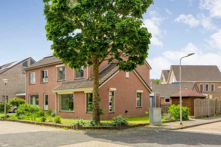 Foto 3 van Zenegroen 2