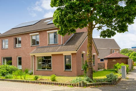 Zenegroen thumbnail