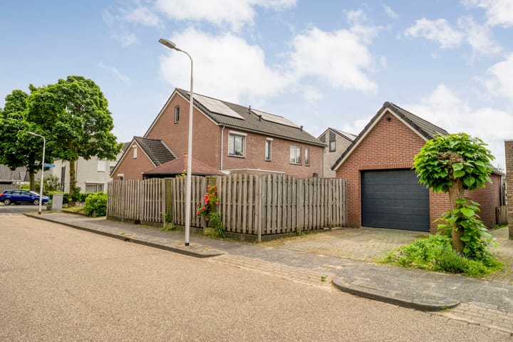 Foto 4 van Zenegroen 2