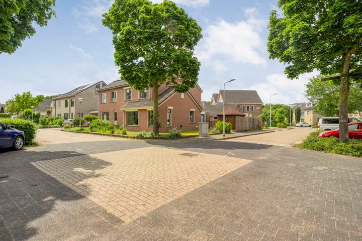 Foto 2 van Zenegroen 2