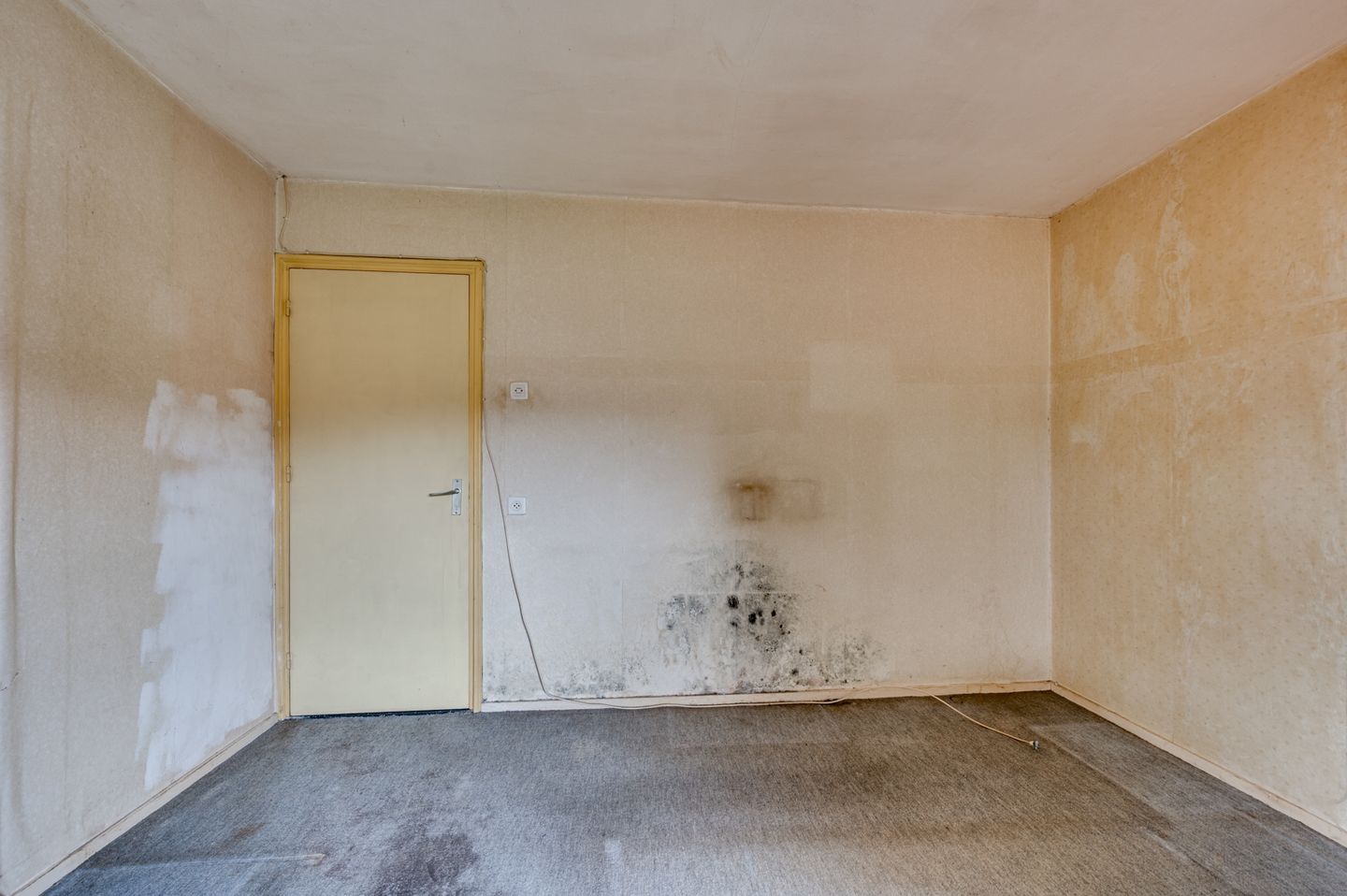 Photo 20 of Oude Baan 17