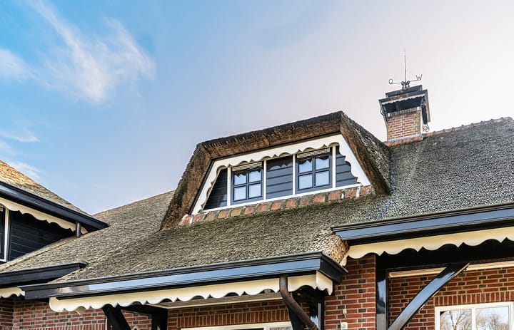 Vrijstaande woning te koop: Van Haersoltelaan 58, Barneveld