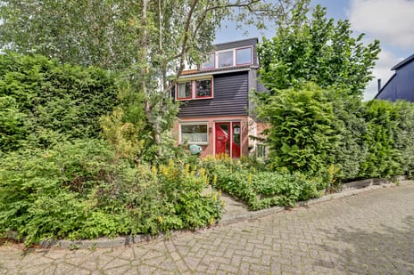 Vogelmuur thumbnail
