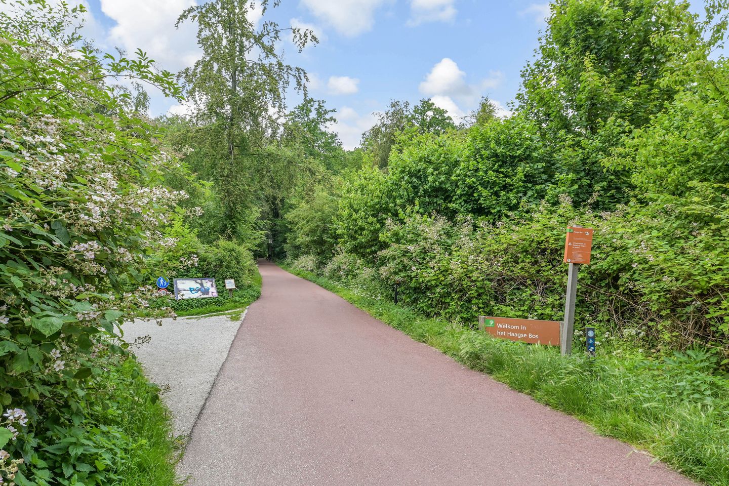 Photo 40 of Gerard Reijnststraat 38