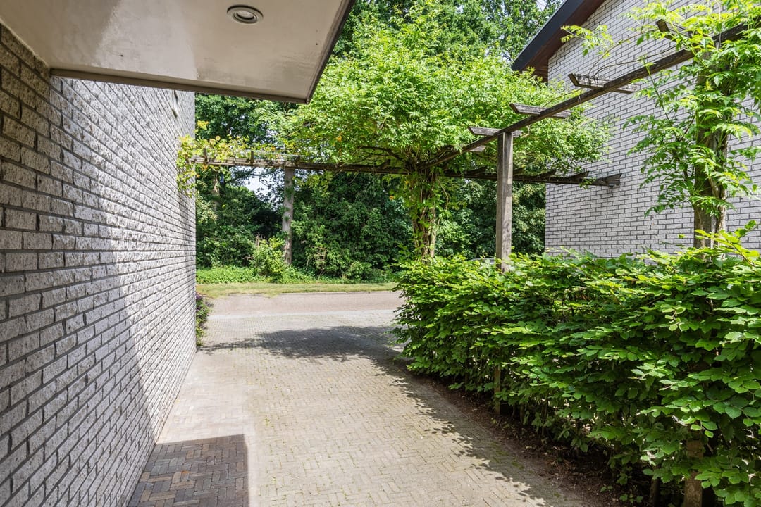 Photo 38 of Bosveld 26