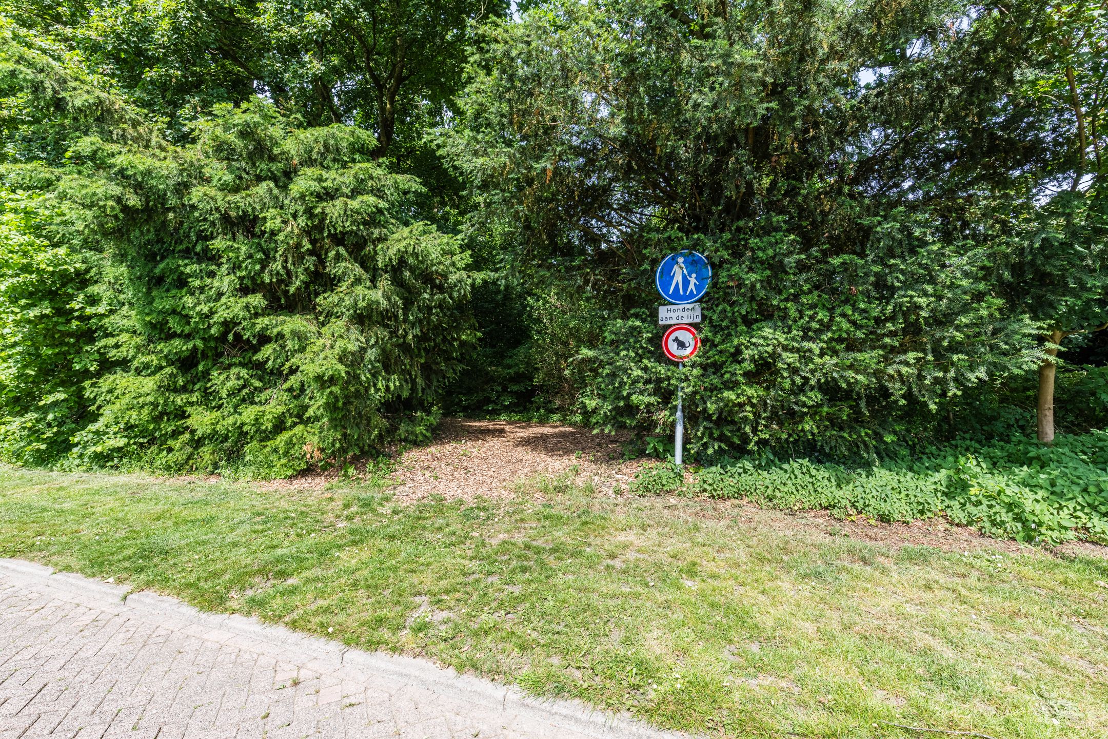 Photo 39 of Bosveld 26