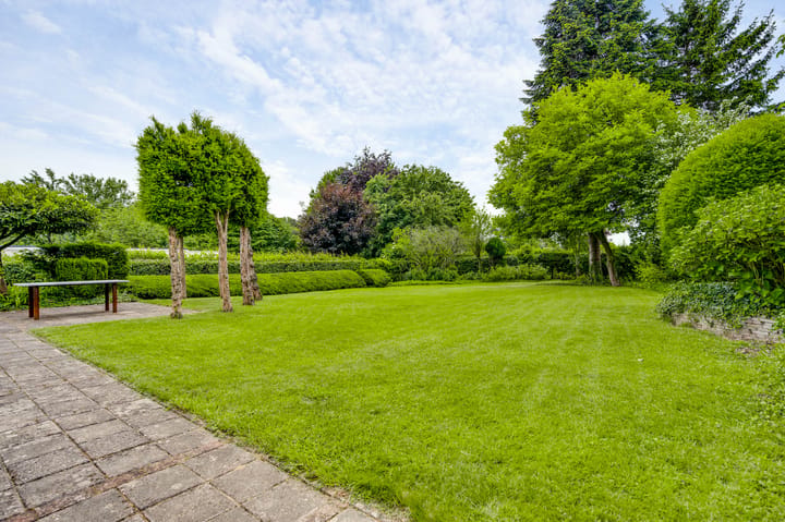 Photo 4 of Groot Berghem 17
