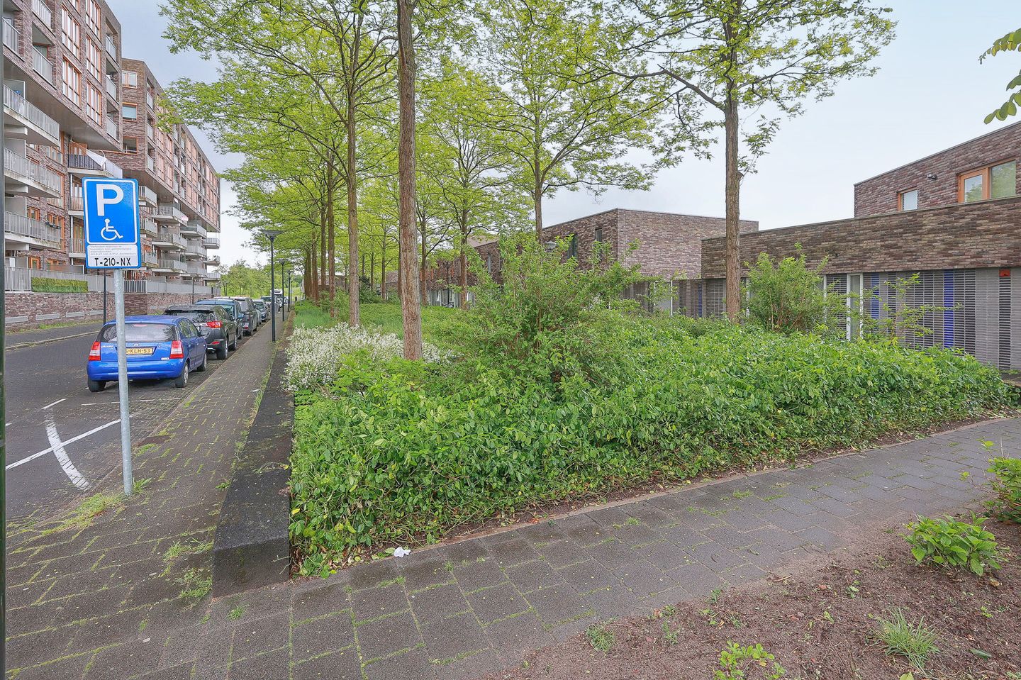 Photo 35 of 1e Kekerstraat 69