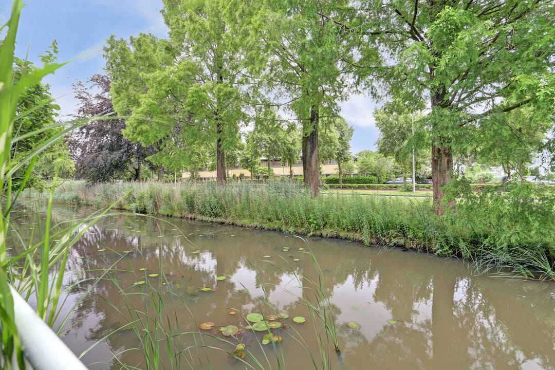 Photo 46 of Het Langhuis 10