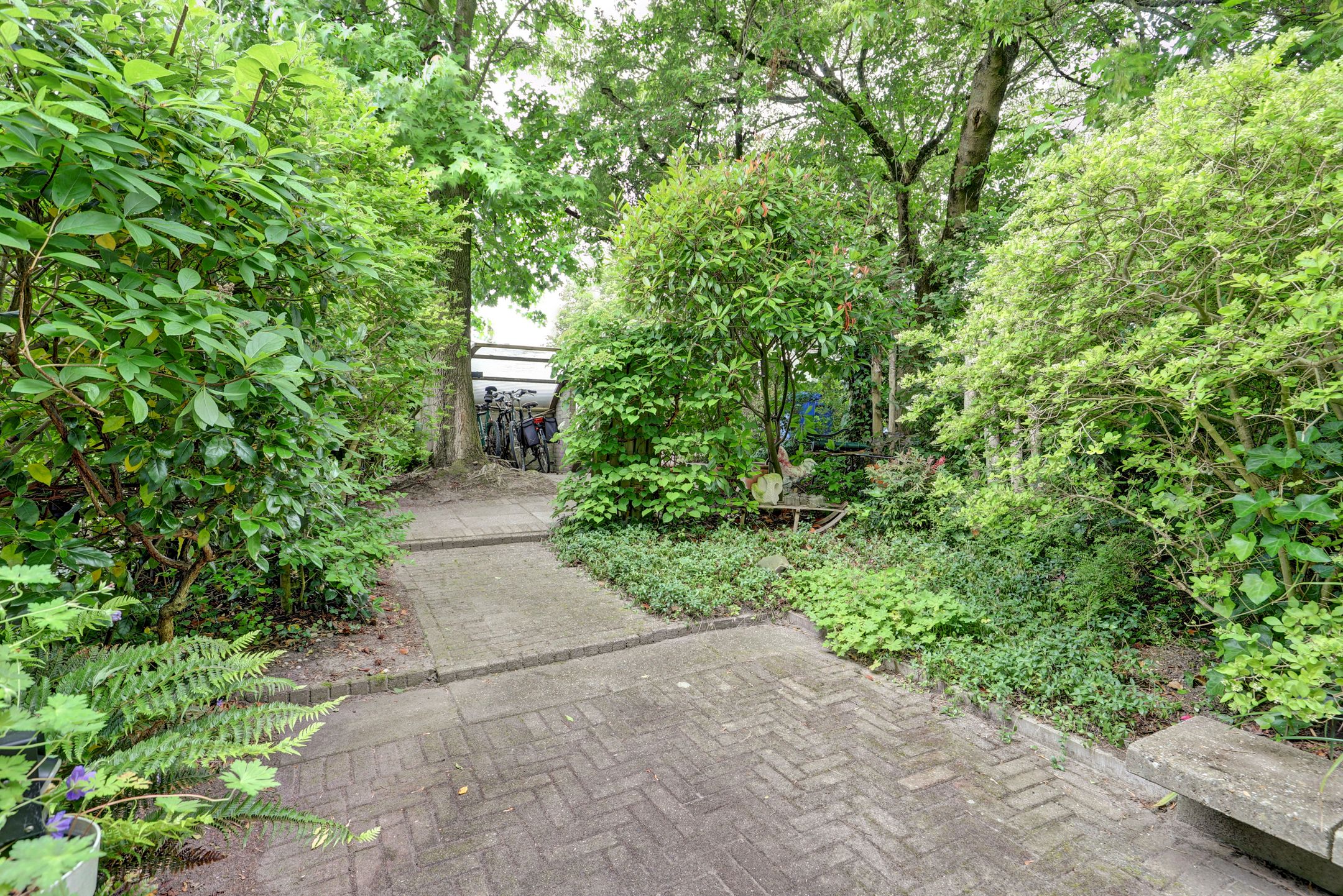 Photo 42 of Het Langhuis 10