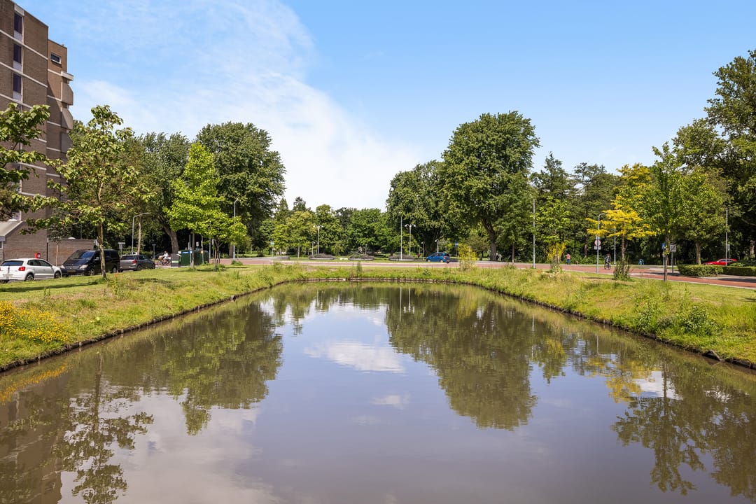 Photo 22 of Nassauplantsoen 13