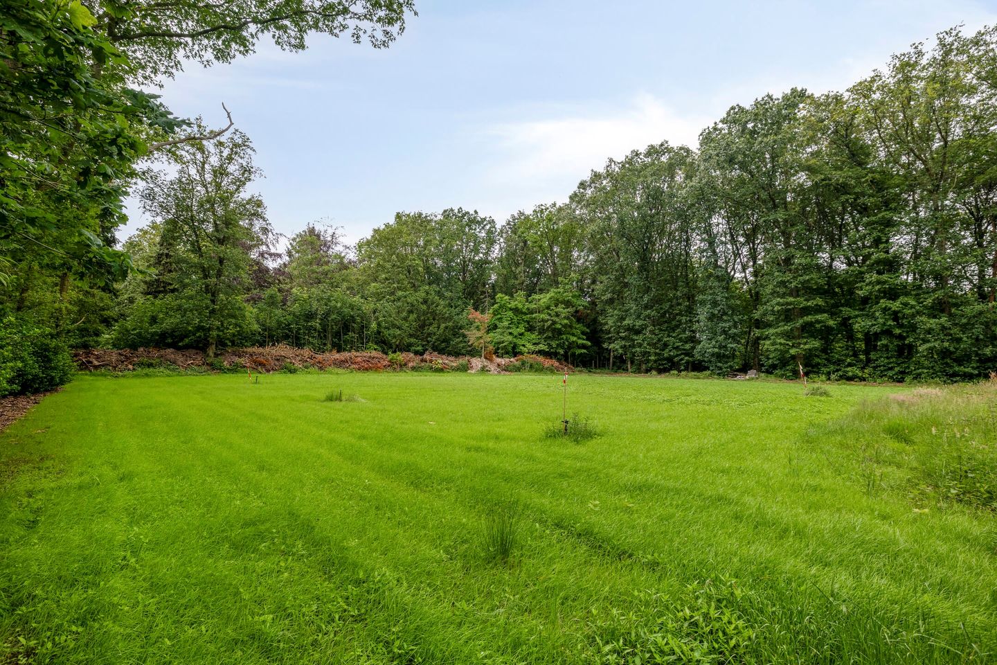 Oude Rielsebaan 185 - Tilburg - Afbeelding 6