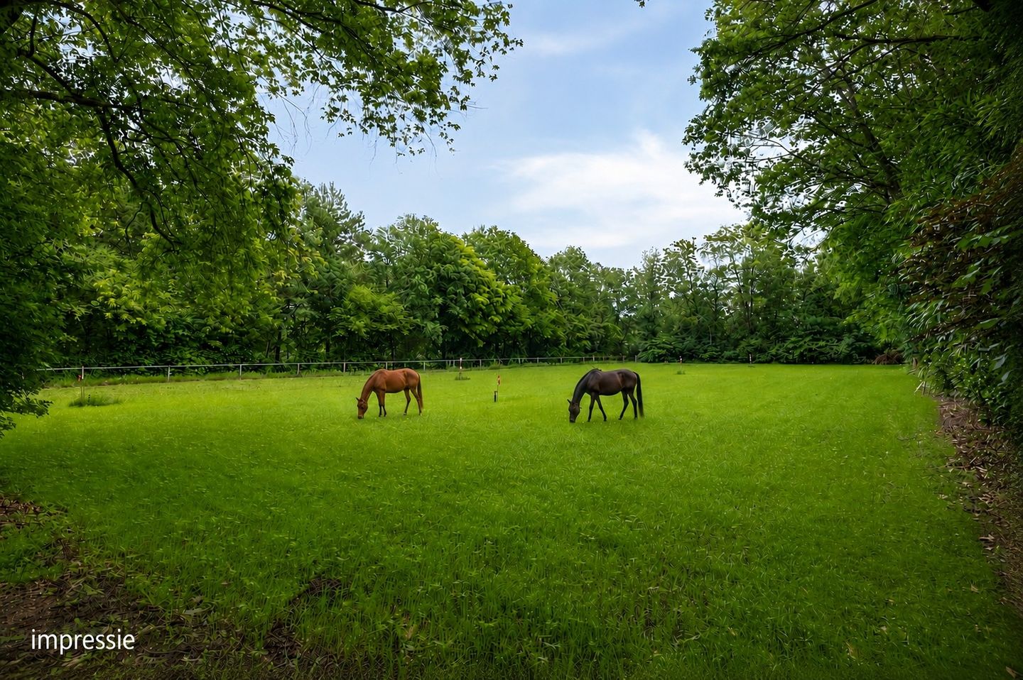 Bekijk foto 3 van Oude Rielsebaan 185