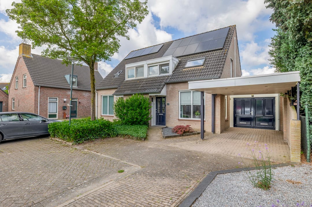 Foto 41 van Hoefblad 46