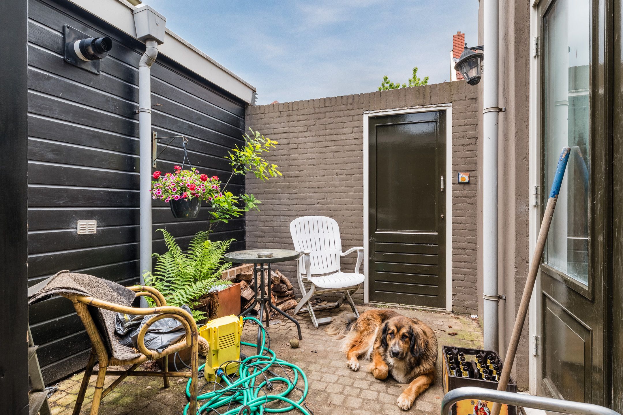 Photo 24 of Selwerderstraat 14