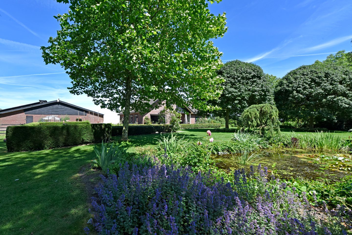 Photo 5 of Hennisdijk 16