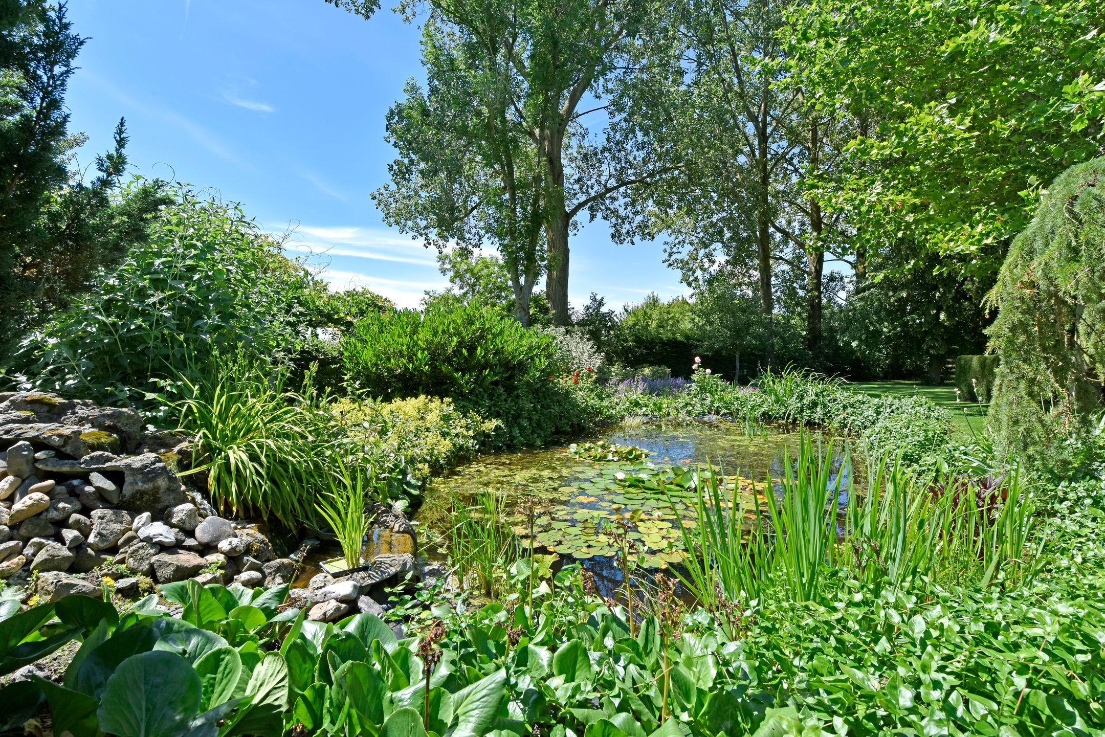 Photo 42 of Hennisdijk 16