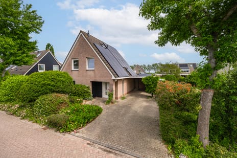 Betuwe Singel thumbnail