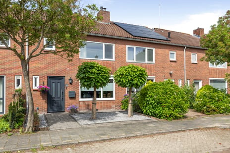 Da Costastraat thumbnail
