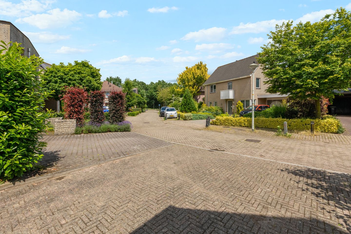 Photo 44 of De Hosterd 49