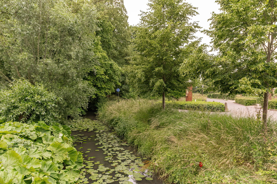 Photo 58 of Singel 3