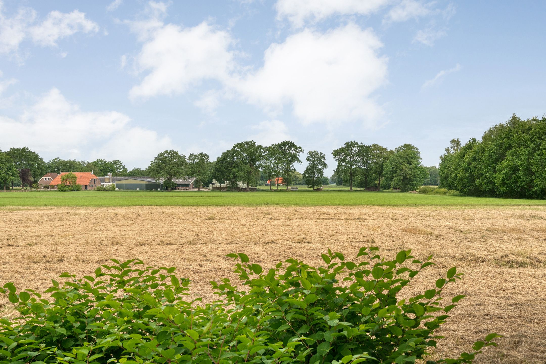 Foto 48 van Zandhuizerweg 31