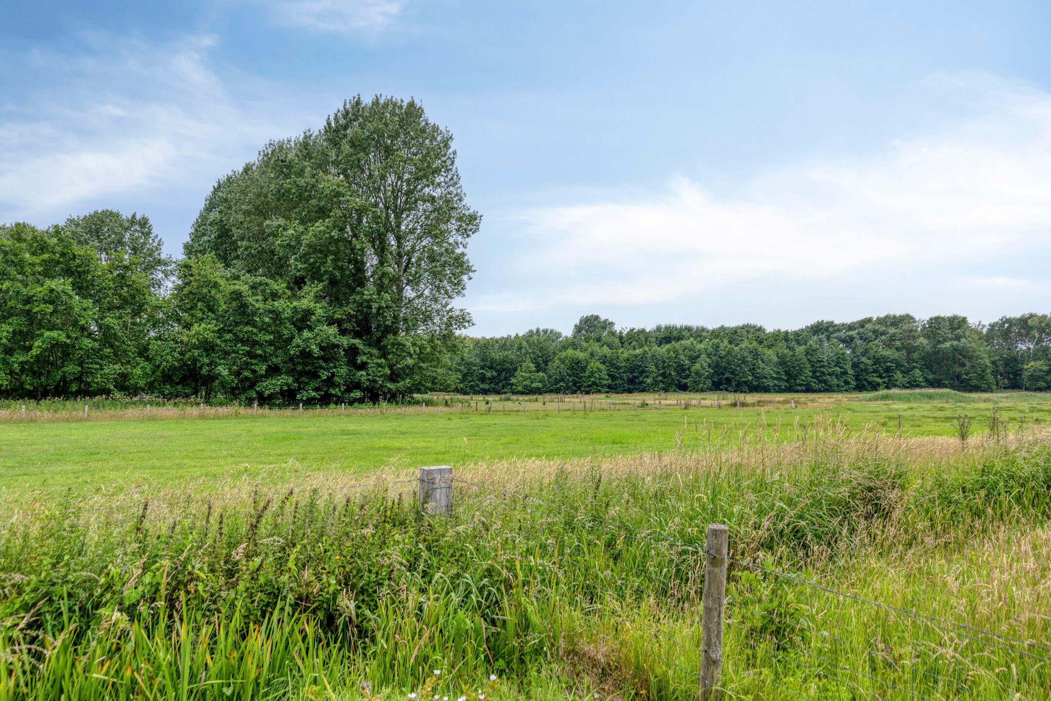 Photo 39 of Moolweg 3