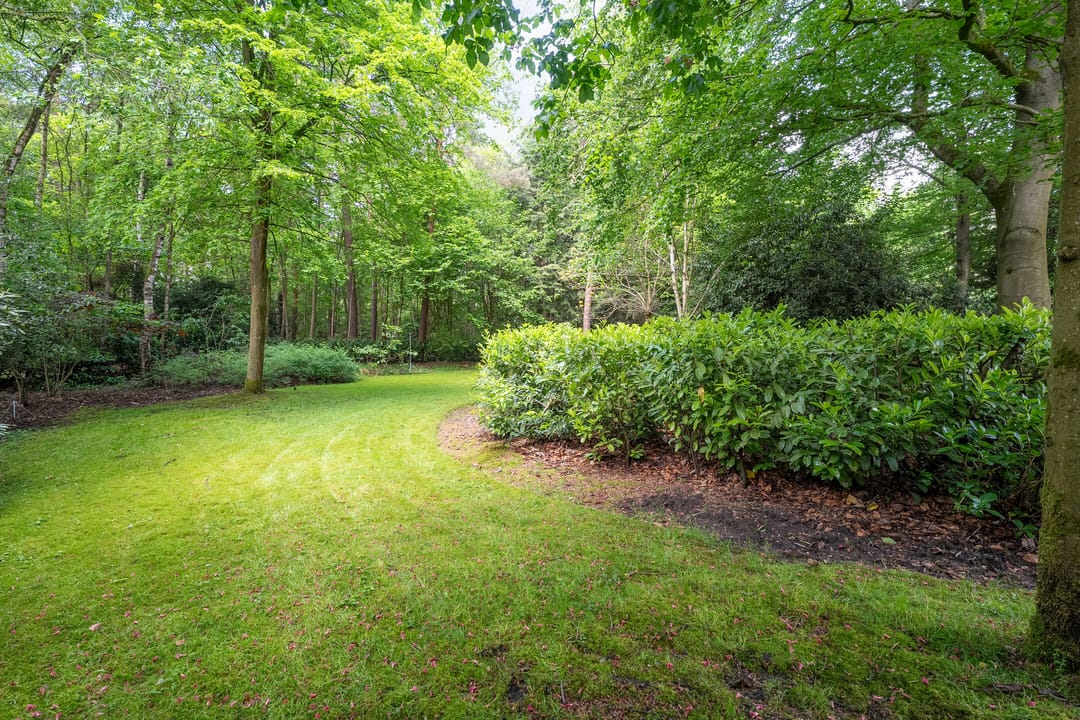 Photo 73 of Witte de Withlaan 9