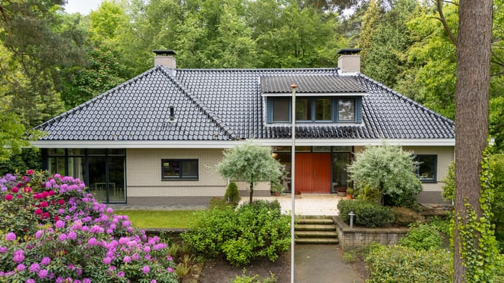 Witte de Withlaan 9