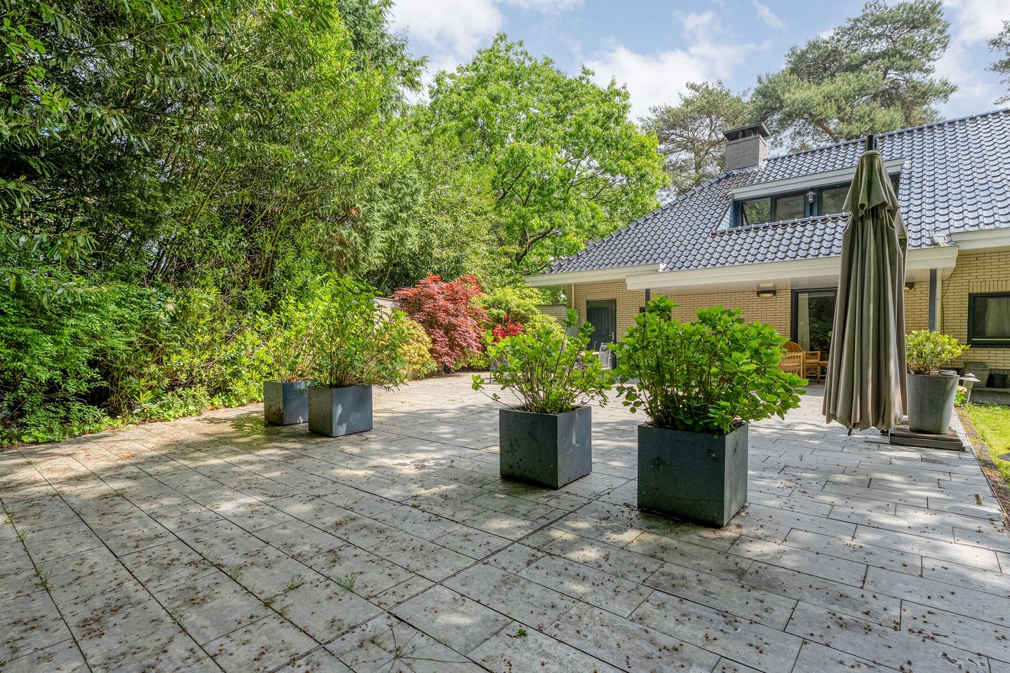 Photo 65 of Witte de Withlaan 9