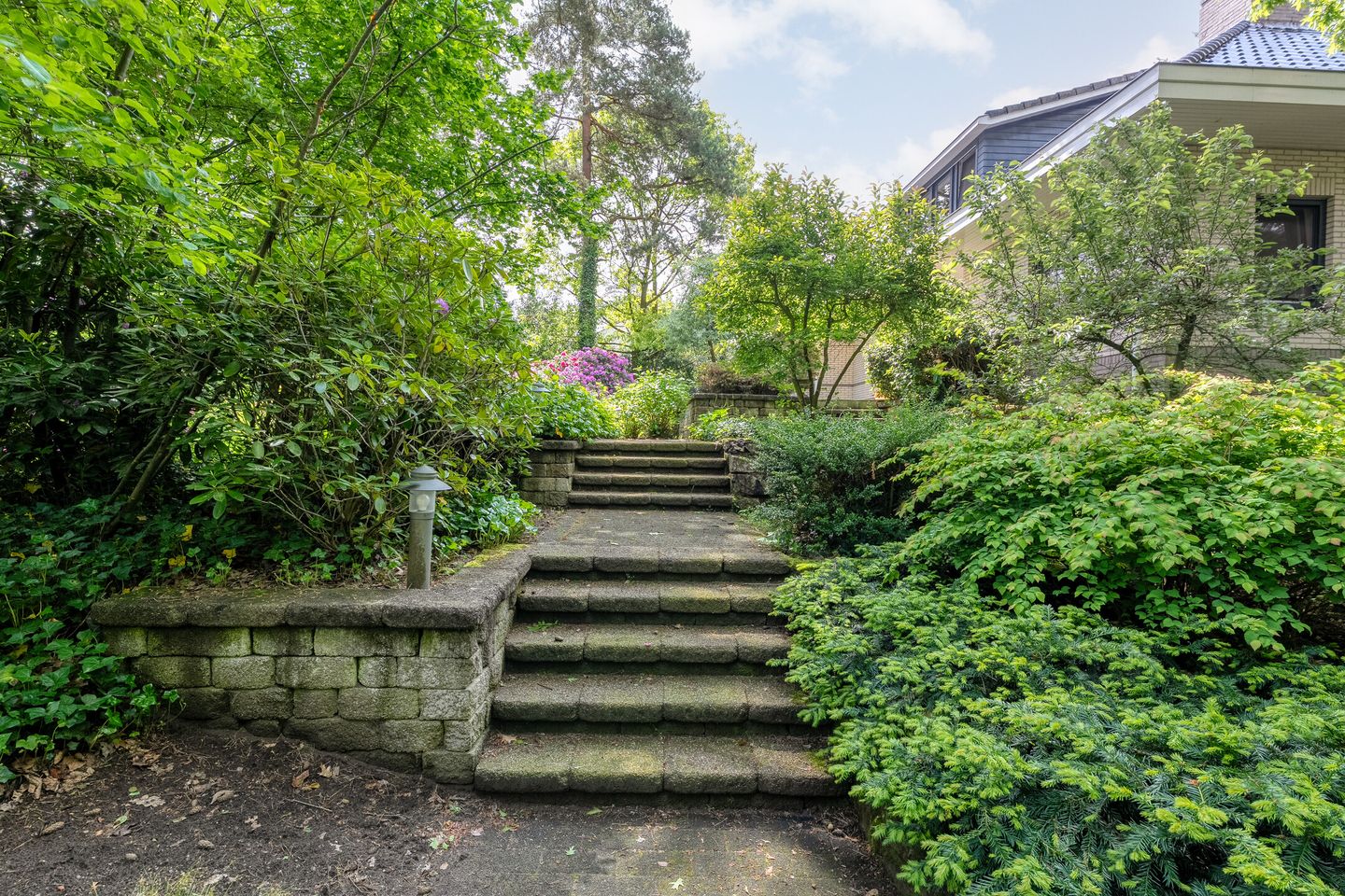 Photo 79 of Witte de Withlaan 9