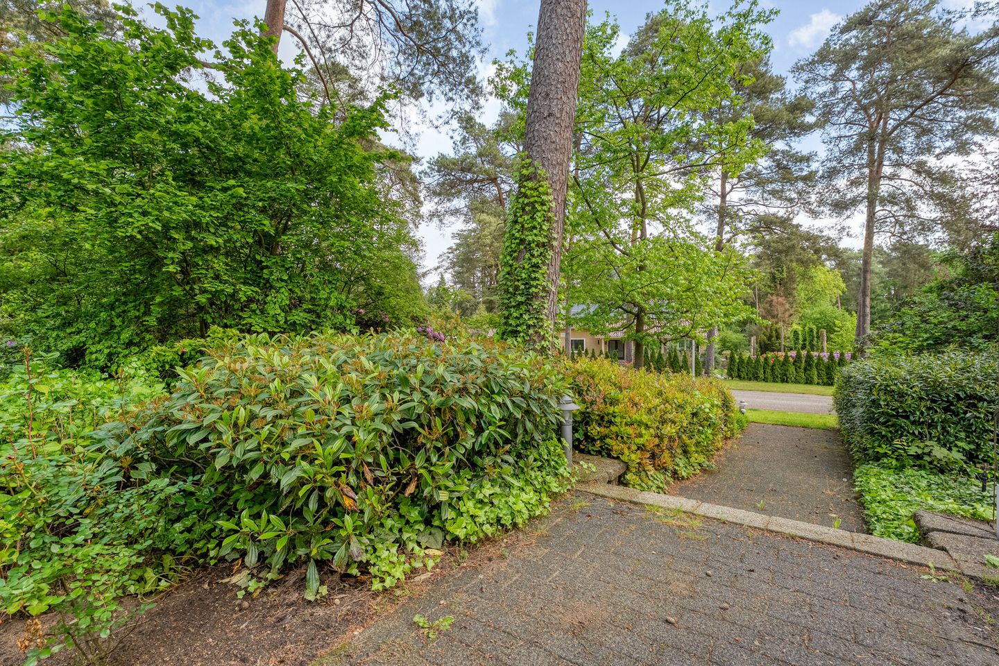 Photo 80 of Witte de Withlaan 9