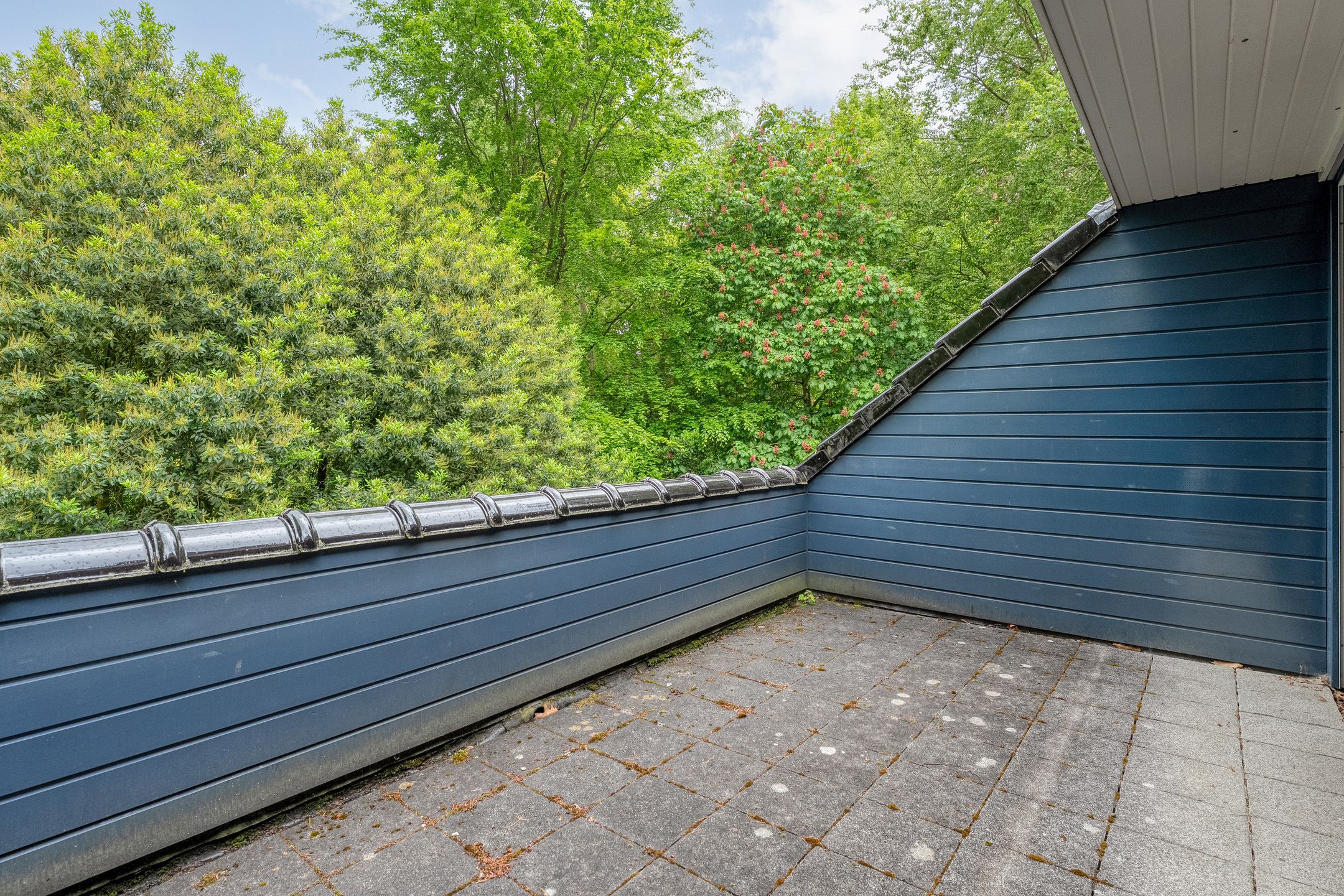Photo 33 of Witte de Withlaan 9