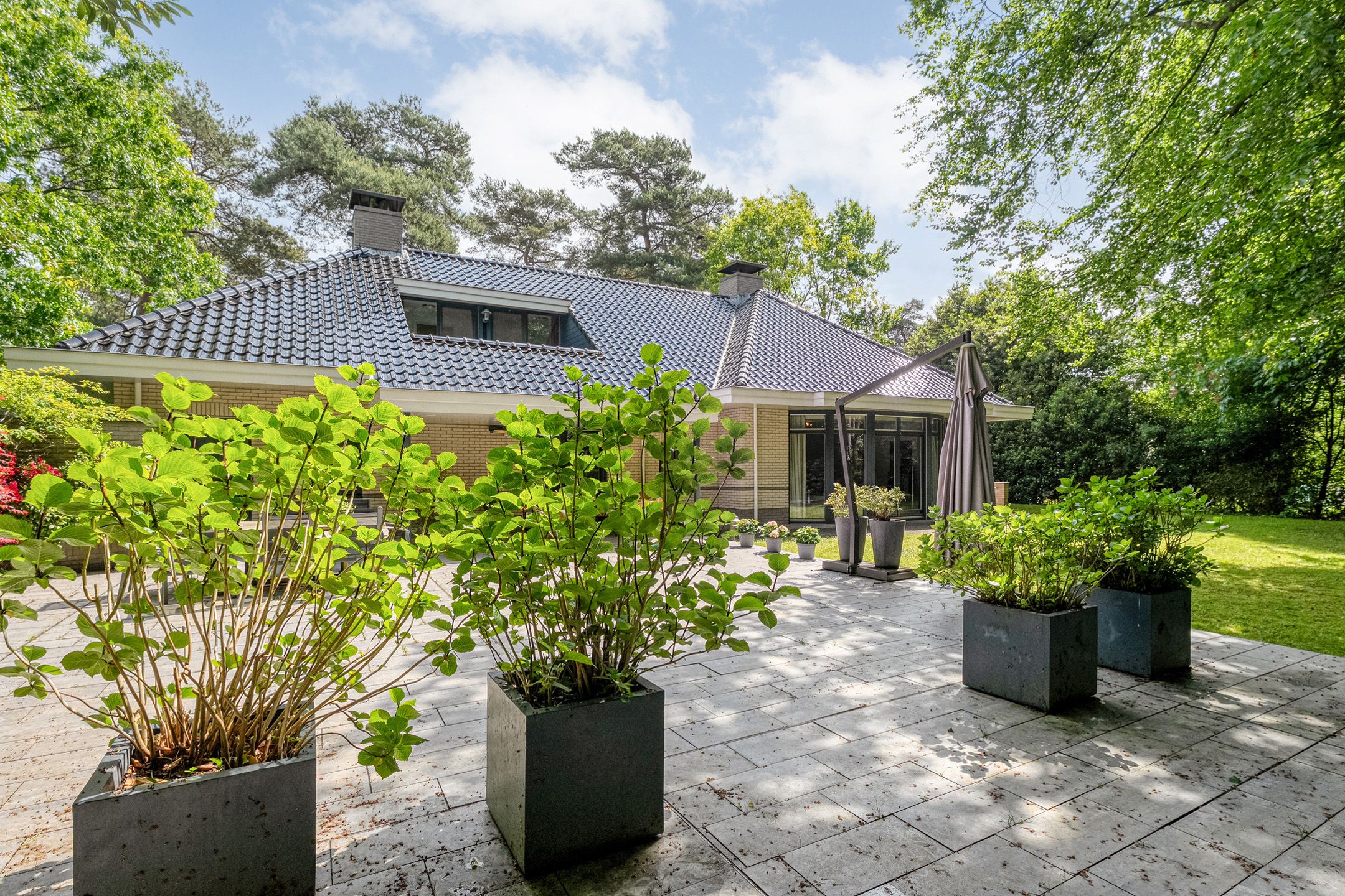 Photo 66 of Witte de Withlaan 9