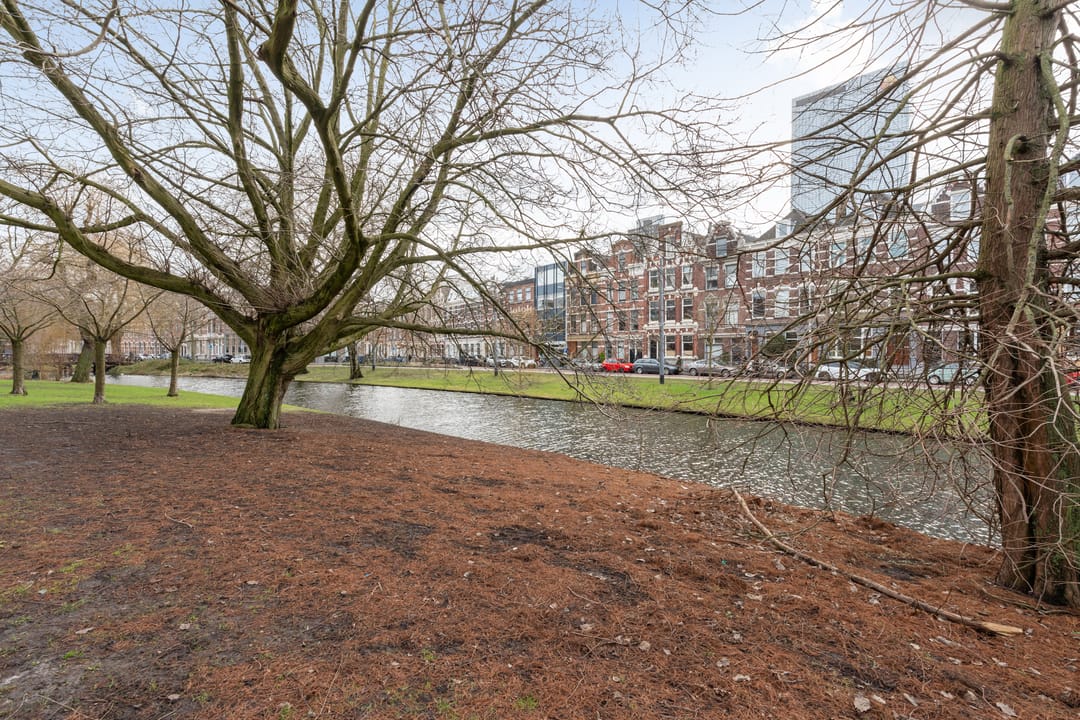 Foto 41 van Provenierssingel 71-A01