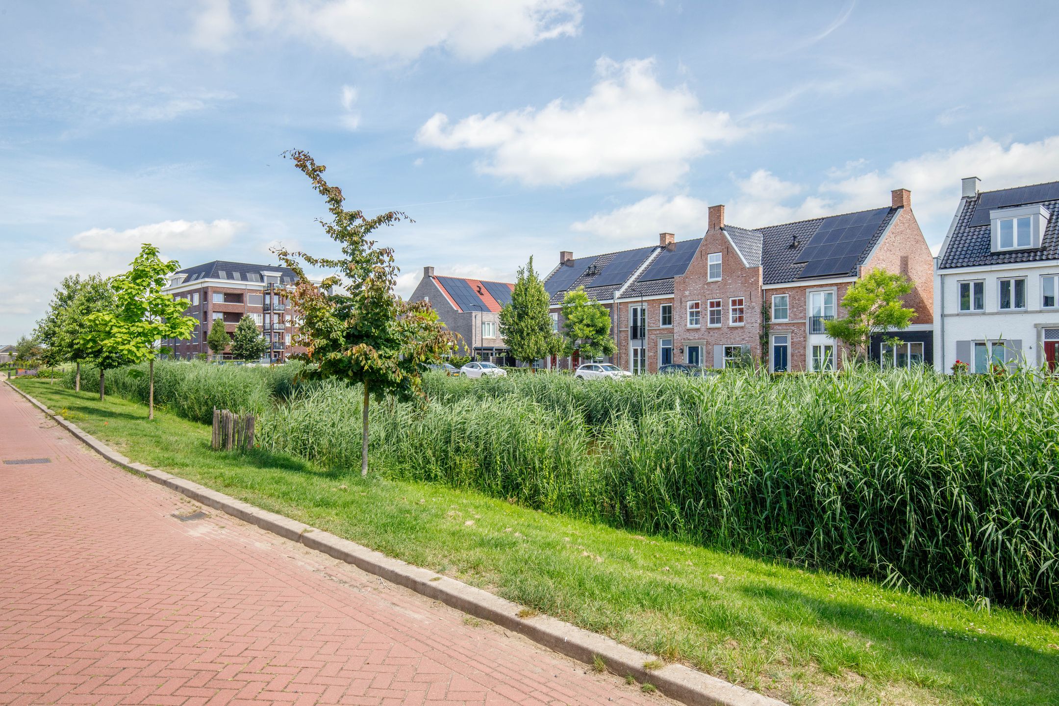 Photo 60 of Egelnest 15