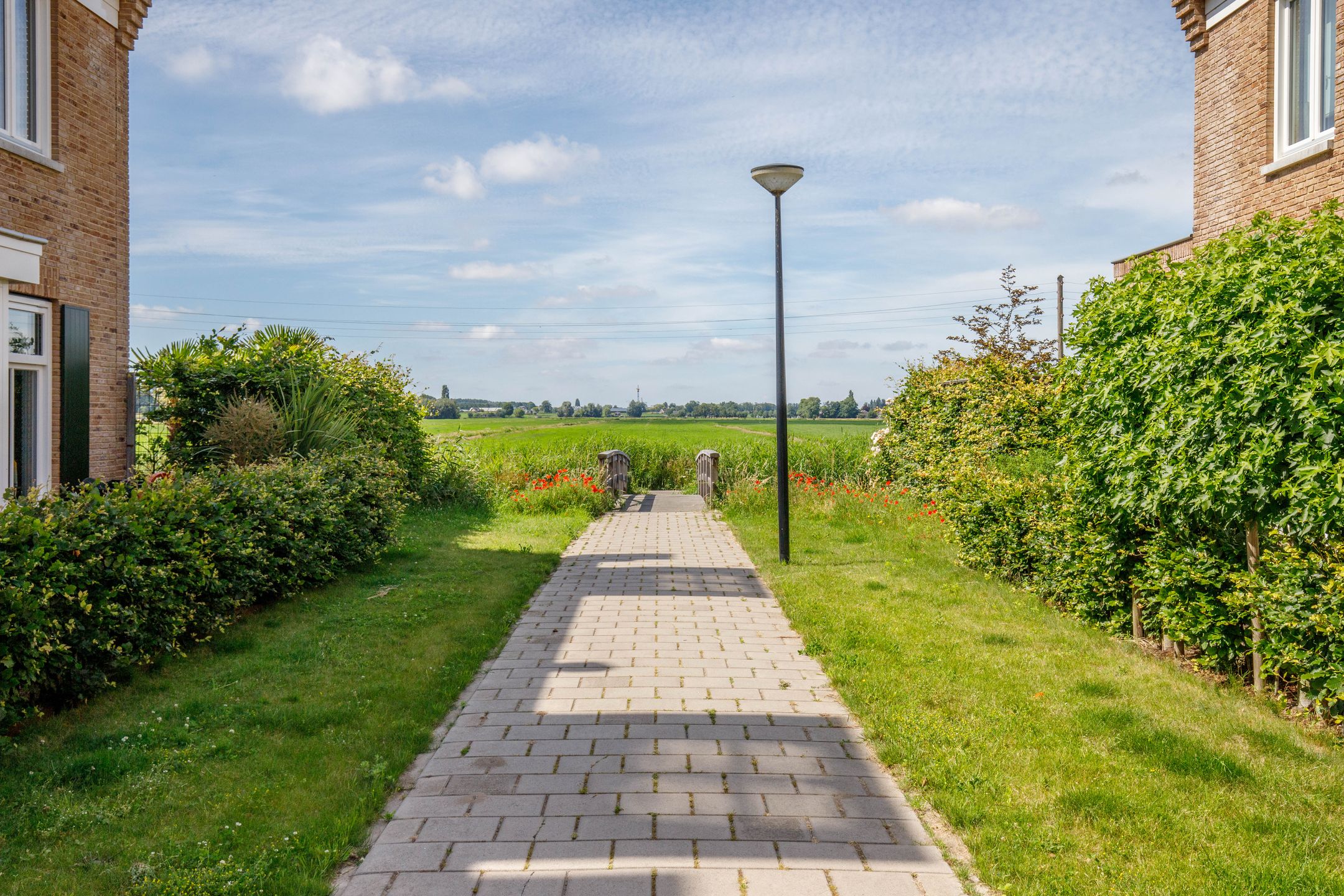 Photo 63 of Egelnest 15
