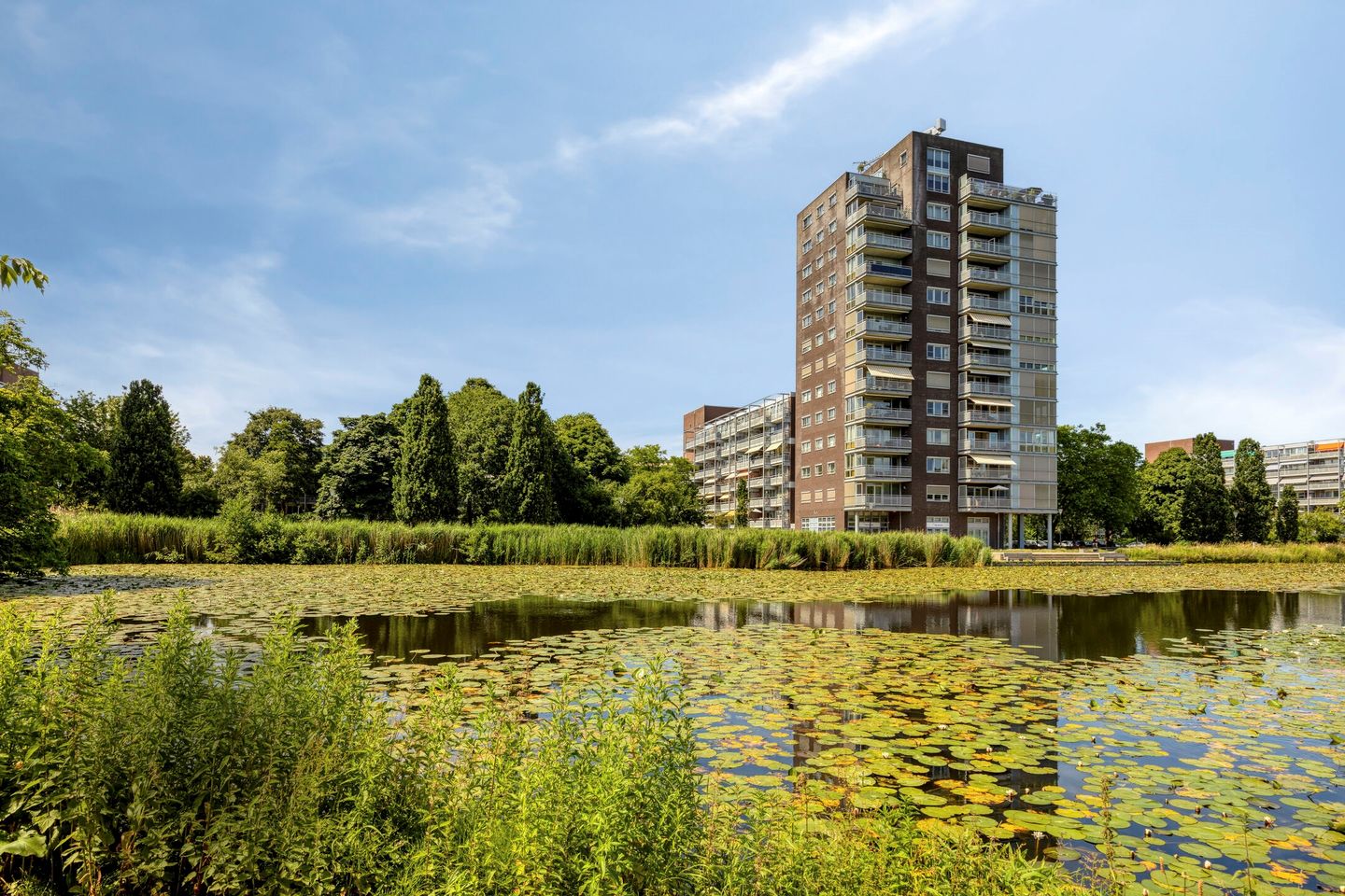 Photo 1 of Roodborststraat 57