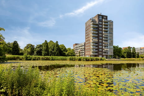 Roodborststraat thumbnail